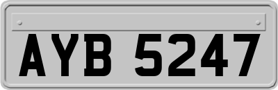 AYB5247