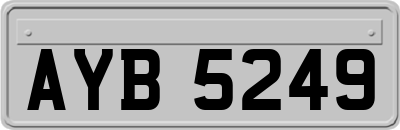 AYB5249
