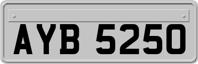 AYB5250