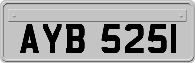 AYB5251