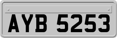 AYB5253