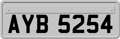 AYB5254