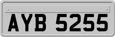 AYB5255