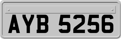 AYB5256