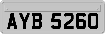 AYB5260