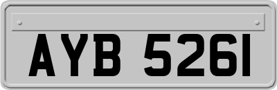 AYB5261