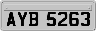 AYB5263