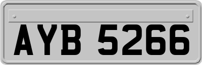 AYB5266