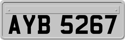 AYB5267