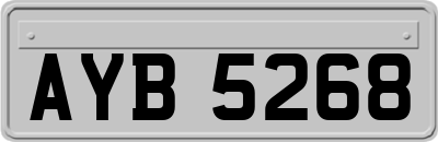 AYB5268