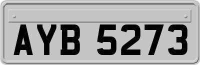 AYB5273