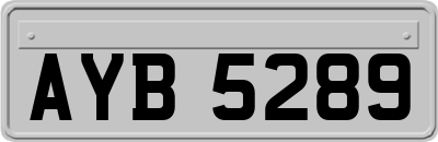 AYB5289