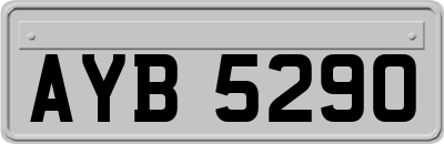 AYB5290