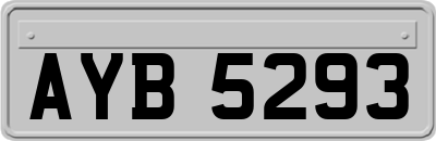 AYB5293