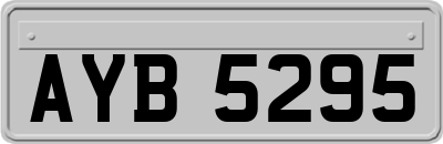 AYB5295