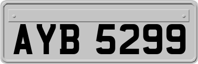 AYB5299