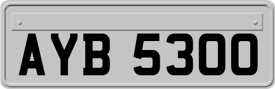 AYB5300
