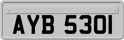 AYB5301