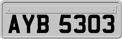 AYB5303