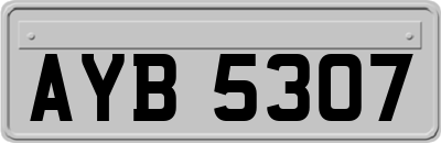 AYB5307