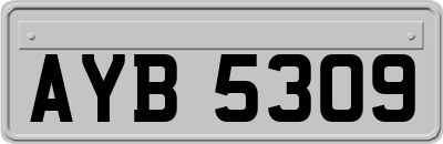 AYB5309