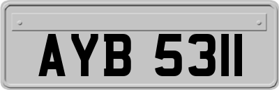 AYB5311