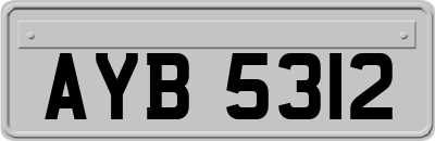 AYB5312