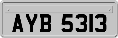 AYB5313