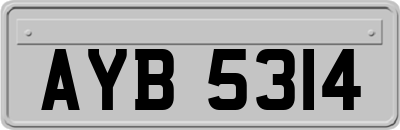 AYB5314