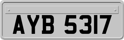 AYB5317