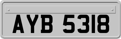 AYB5318