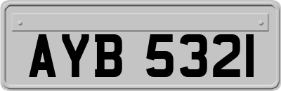 AYB5321