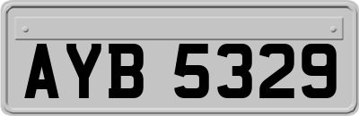 AYB5329