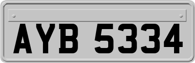 AYB5334