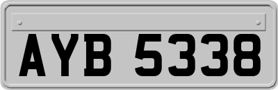 AYB5338