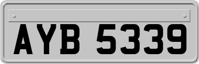 AYB5339