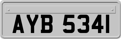 AYB5341