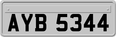 AYB5344
