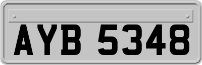 AYB5348