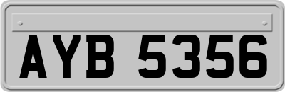 AYB5356