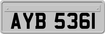 AYB5361