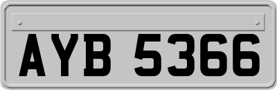 AYB5366