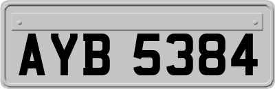 AYB5384