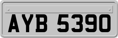AYB5390