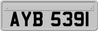 AYB5391