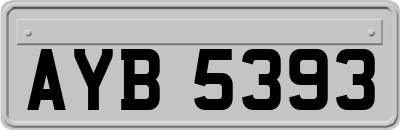 AYB5393