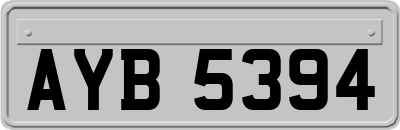 AYB5394