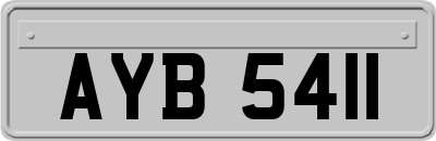 AYB5411
