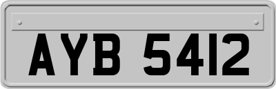 AYB5412