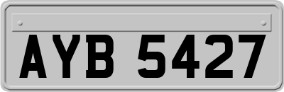 AYB5427